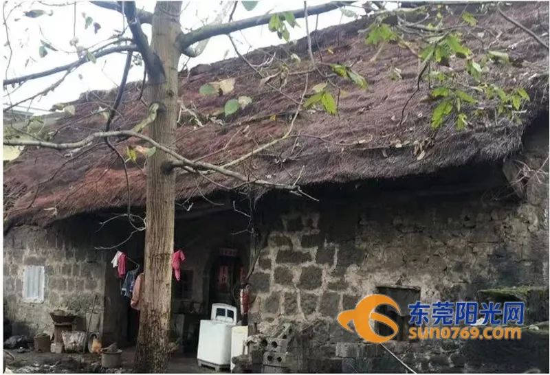 泼机镇人口_人口普查图片(2)