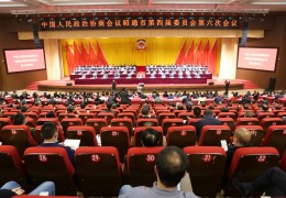 两会影像丨市政协四届六次会议胜利闭幕
