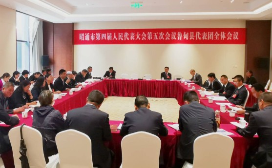 两会时间丨人大代表审议工作报告