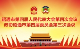 关于设立昭通市第四届人民代表大会相关委员会的决定