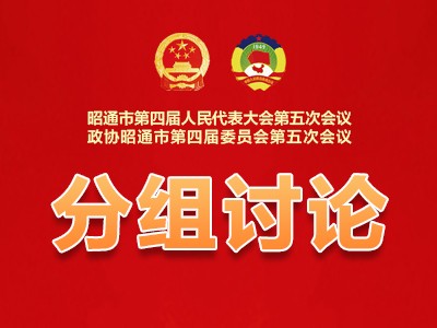 两会时间丨市四届人大五次会议举行主席团第一次会议