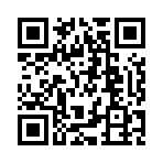 微信扫一扫查看