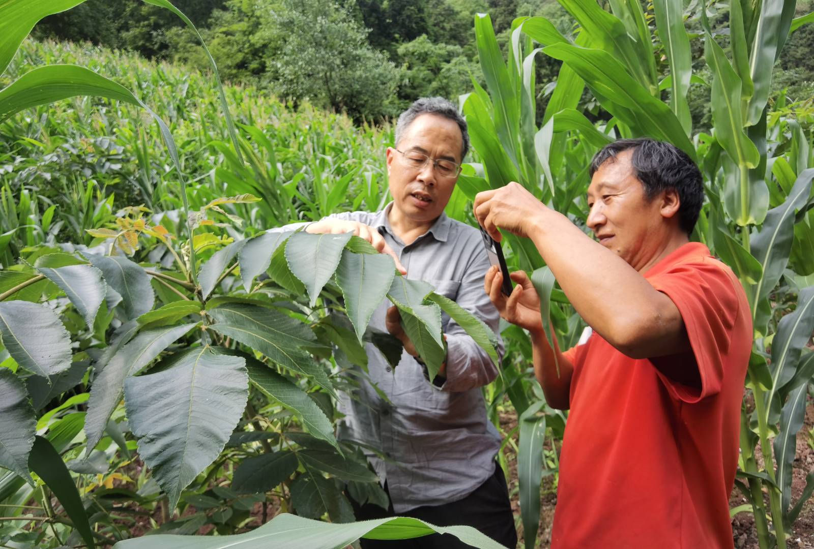 取经先进村落　返岗争先进
