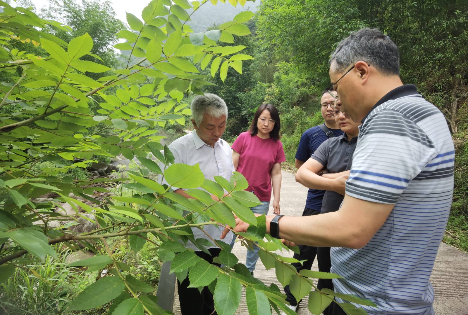 八旬老人酷暑走失 全城接力寻人老人却可怜遇难