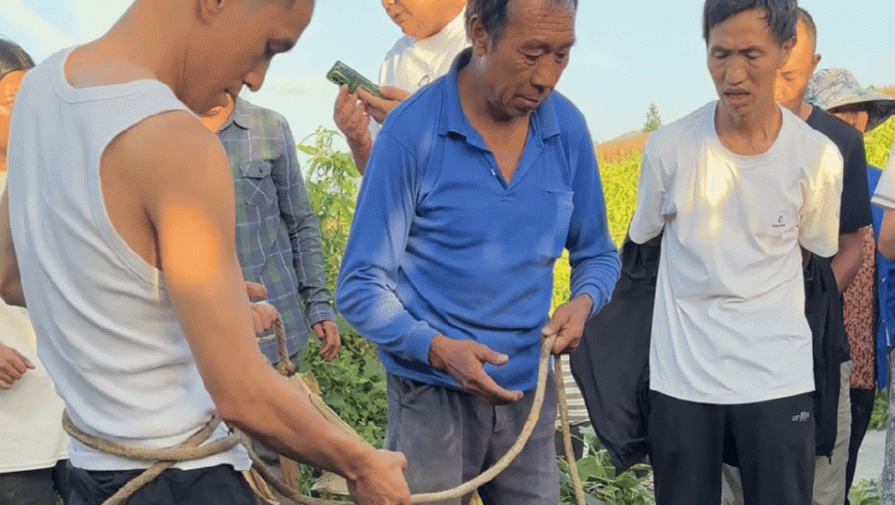 引领物联网时期智慧家庭，2019CES的看点都在这—万维家电网