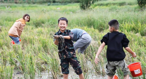 “双节”同庆 盐津乡村文化旅游节“嗨翻”八方游客