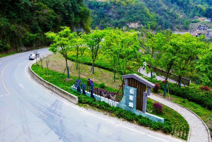 绥江：绿美农村路 描绘美丽风景线