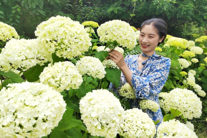 昭陽區白虎山花卉盆景主題莊園內游人如織