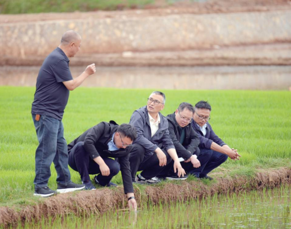 人大监督丨“四步法”走出实效路——昭通市人大常委会强化监督提升效能纪实