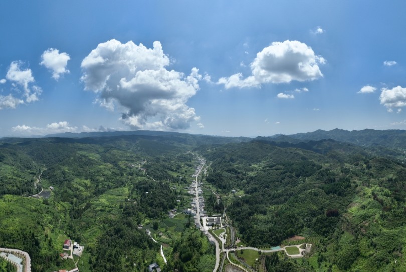 高质量跨越发展的昭通实践④ | 昭通：着力打造天麻品牌名片 提升产业链价值链现代化水平