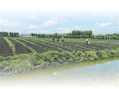 《人民日报》点赞昭通：脱贫产业兴，日子有奔头！