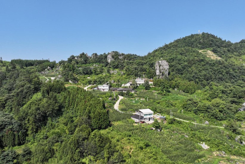 党旗映青山 业兴村庄美——龙茶村以党建为笔绘就和美乡村新图景