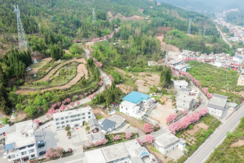 村庄志丨金竹村：党建引领闯出农文旅融合振兴路