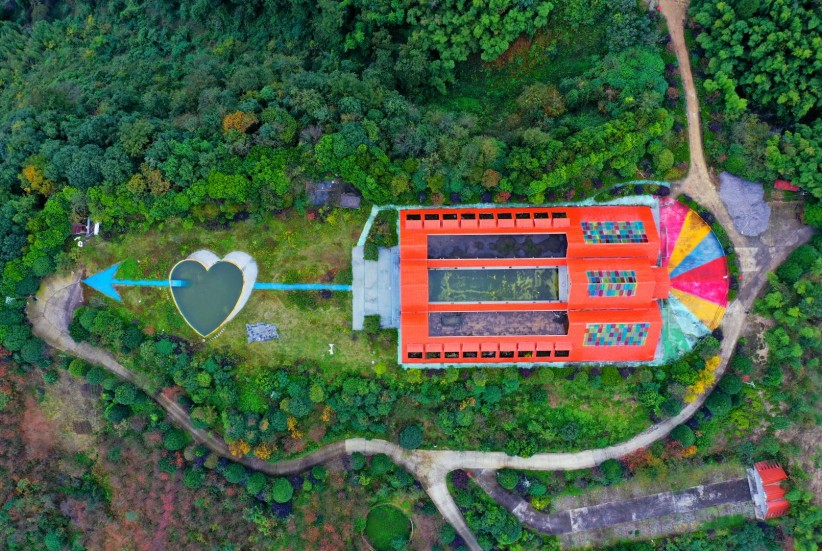 綏江：森林康養“點綠成金”