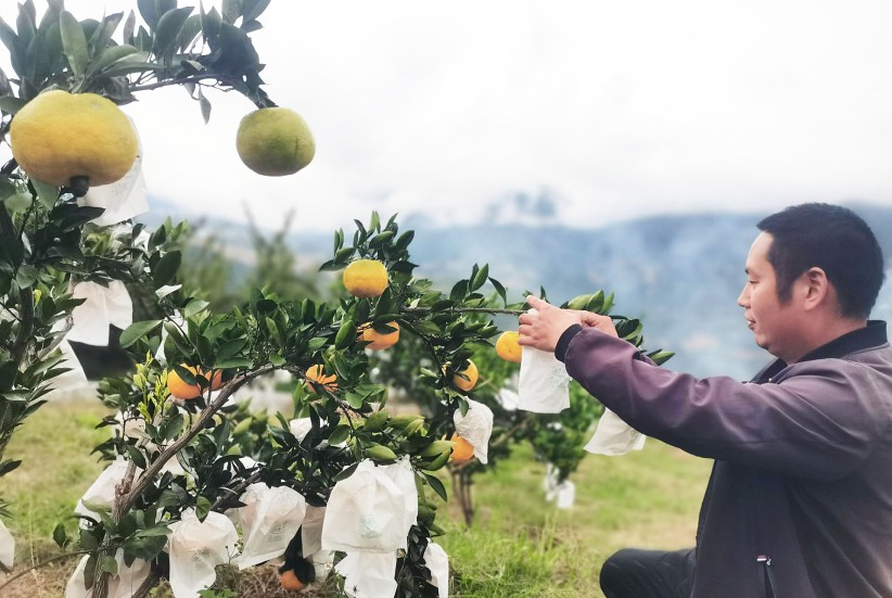 明子村打造观光休闲旅游精品