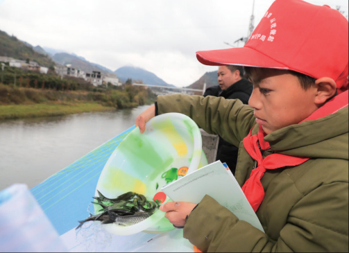 生态强市 | 书写高原水域的“生命传奇”——杨君兴及其团队的高原鱼类保育与创新利用研究之旅