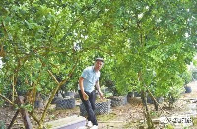 2年间奔波中山昭通百余趟 ，123张机票见证扶贫产业突围情！