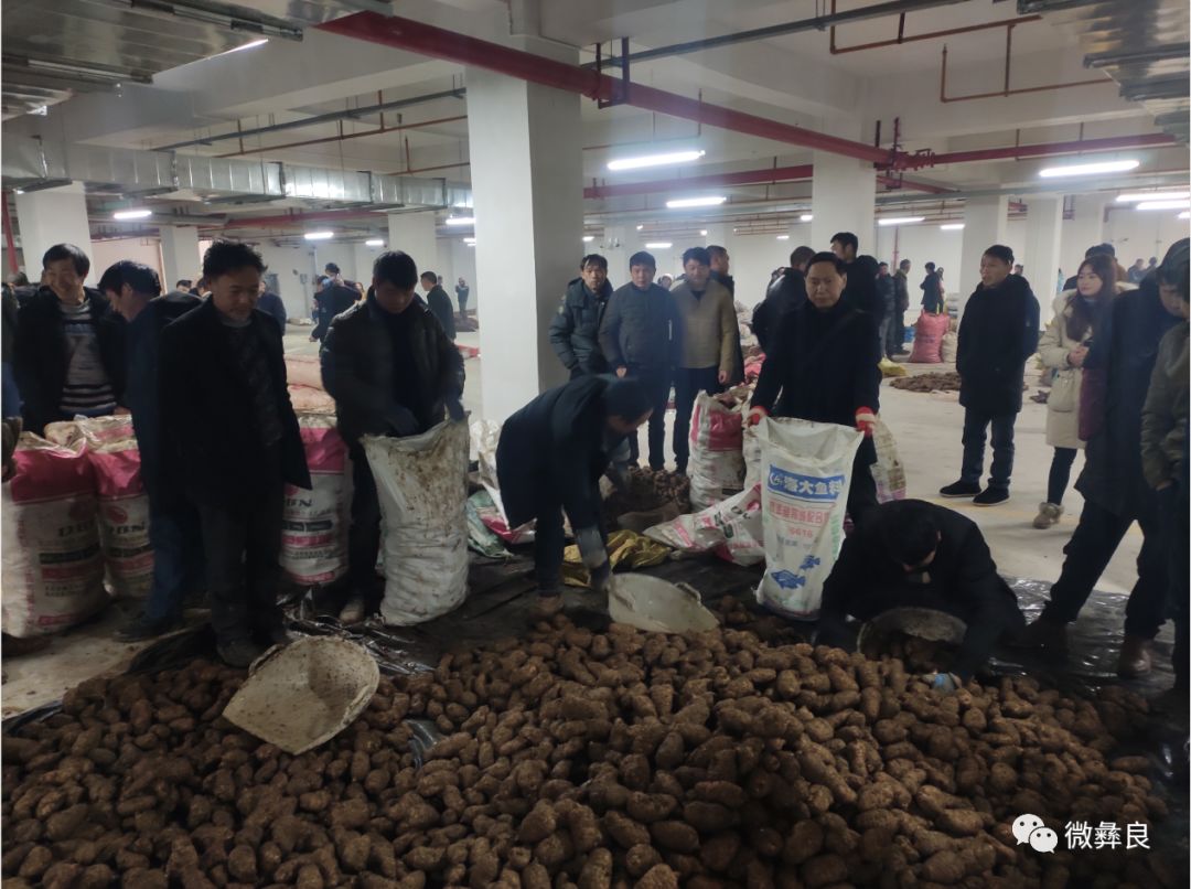 投资2亿小草坝天麻国际交易中心投入试运营