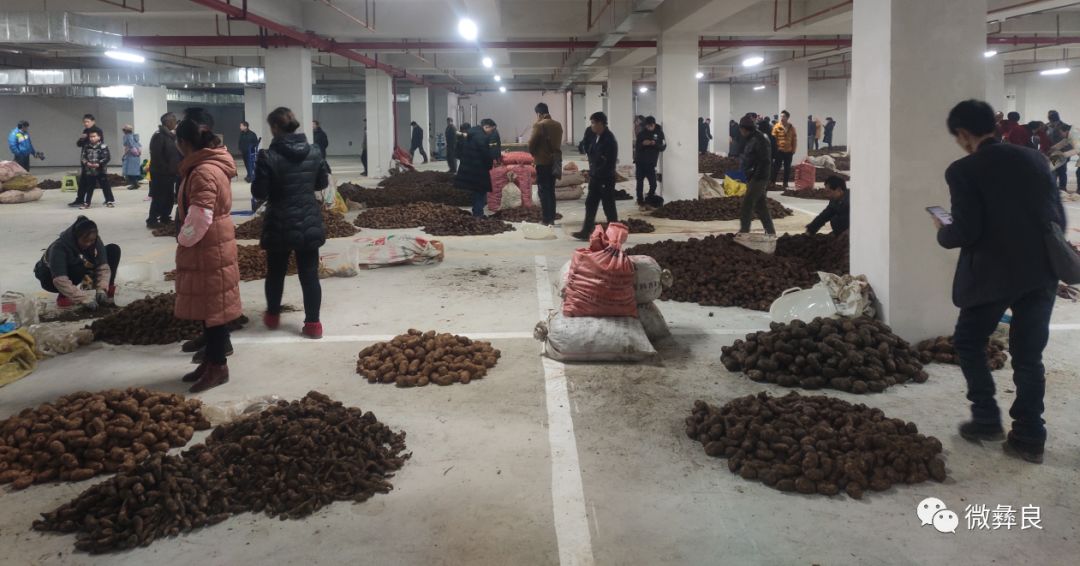 投资2亿小草坝天麻国际交易中心投入试运营